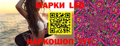mdpv Славгород