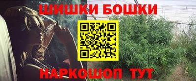 mdpv Славгород