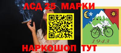 mdpv Славгород