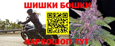 СК Сланцы